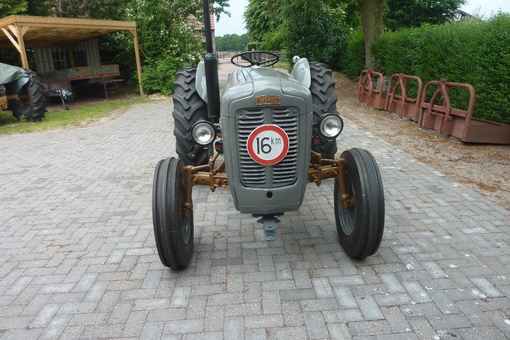 Te koop Ferguson FE 35 (goudbuik), Ophalen, 2500 tot 5000, Oldtimer, Tot 80 Pk