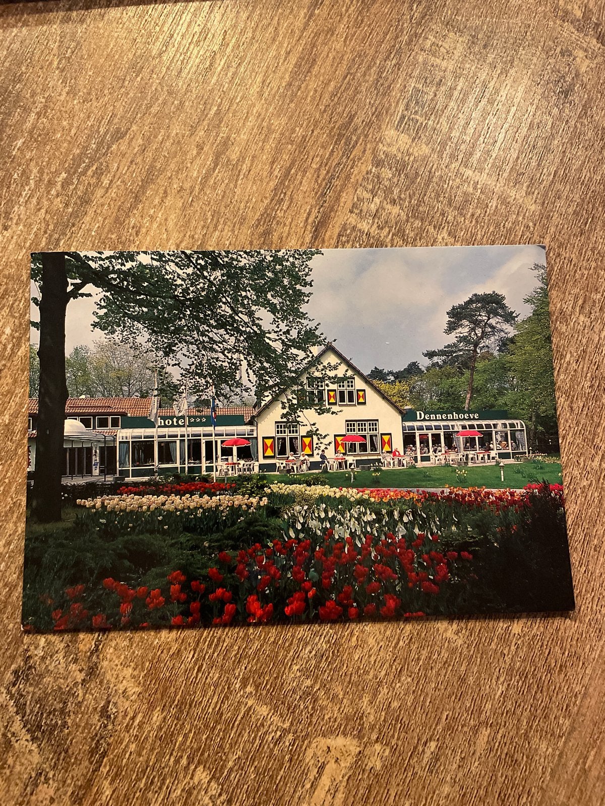 Ansichtkaart Hotel Dennenhoeve Nunspeet Gelderland, Ophalen of Verzenden, 1980 tot heden, Ongelopen, Gelderland