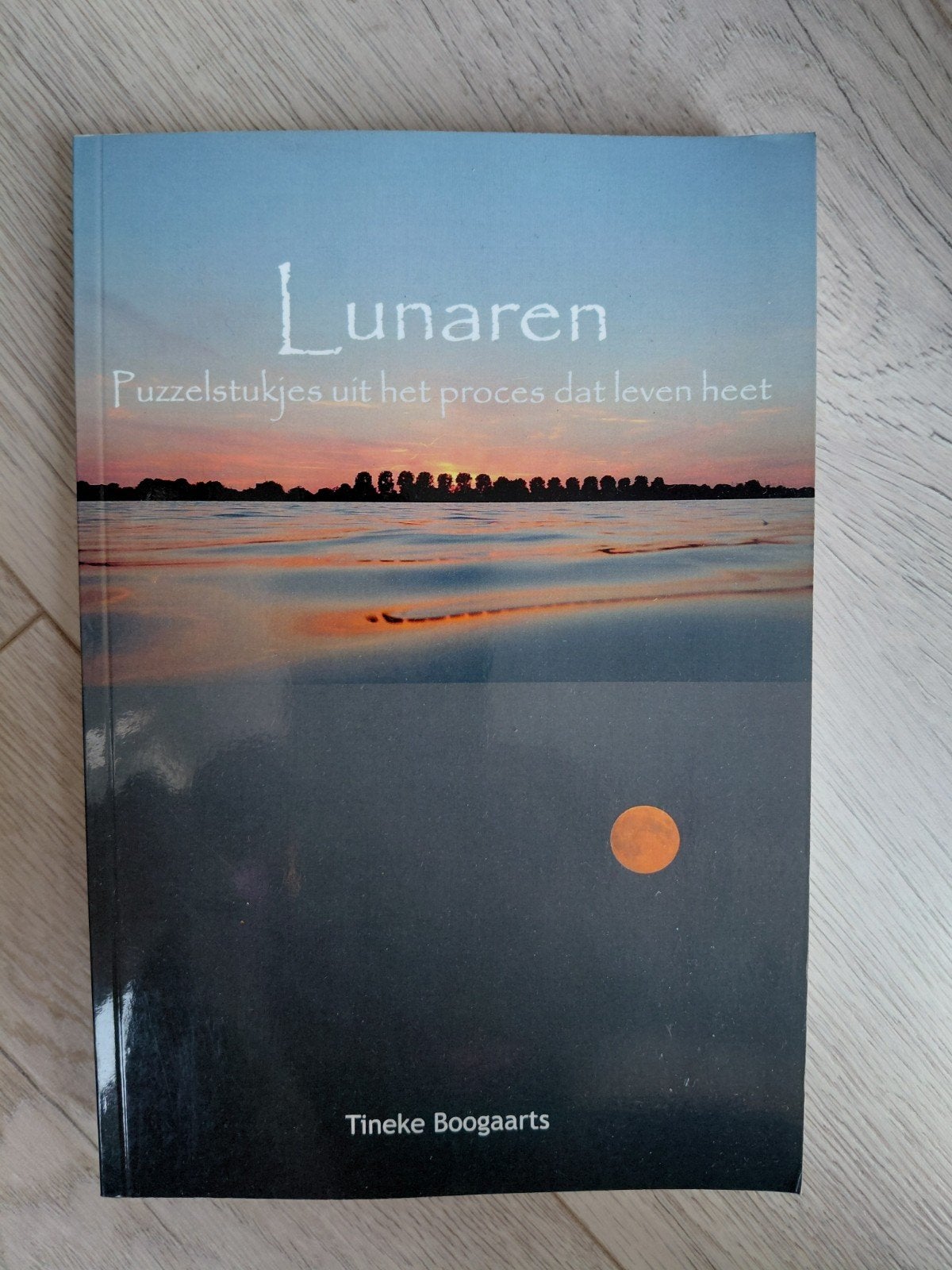 Lunaren: Puzzelstukjes uit het proces dat leven heet, Boeken, Literatuur, Zo goed als nieuw, Nederland, Ophalen of Verzenden