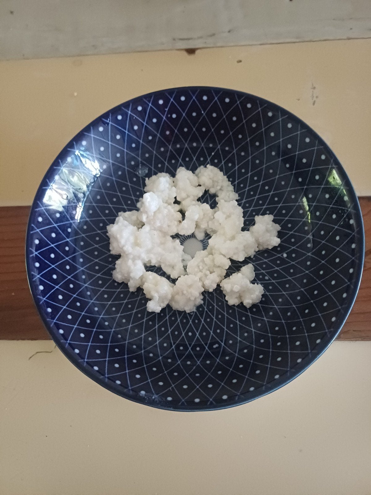 Melk kefir korrels, Diversen, Levensmiddelen, Ophalen
