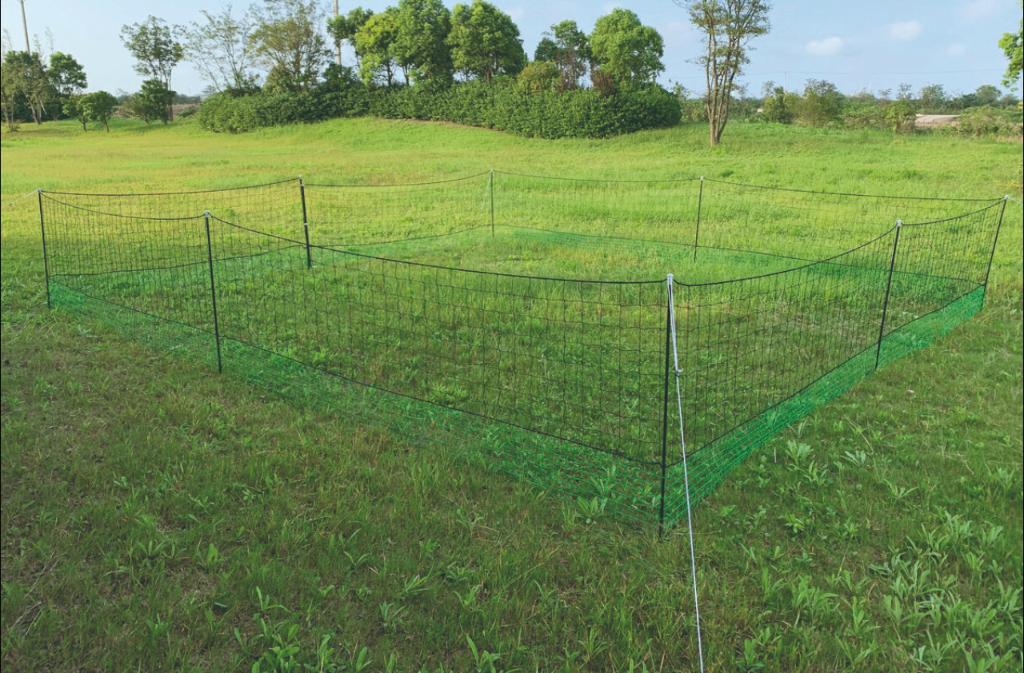 Kippenren in net 21x1.25m, Dieren en Toebehoren, Pluimvee | Toebehoren, Ophalen of Verzenden, Nieuw, Kippenhok of Kippenren