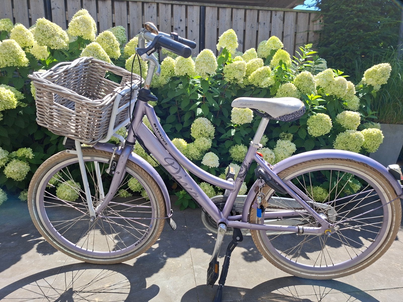 Batavus Diva kinderfiets 24 inch met mandje, Fietsen en Brommers, Fietsen | Meisjes, Ophalen, Terugtraprem, Batavus, Gebruikt