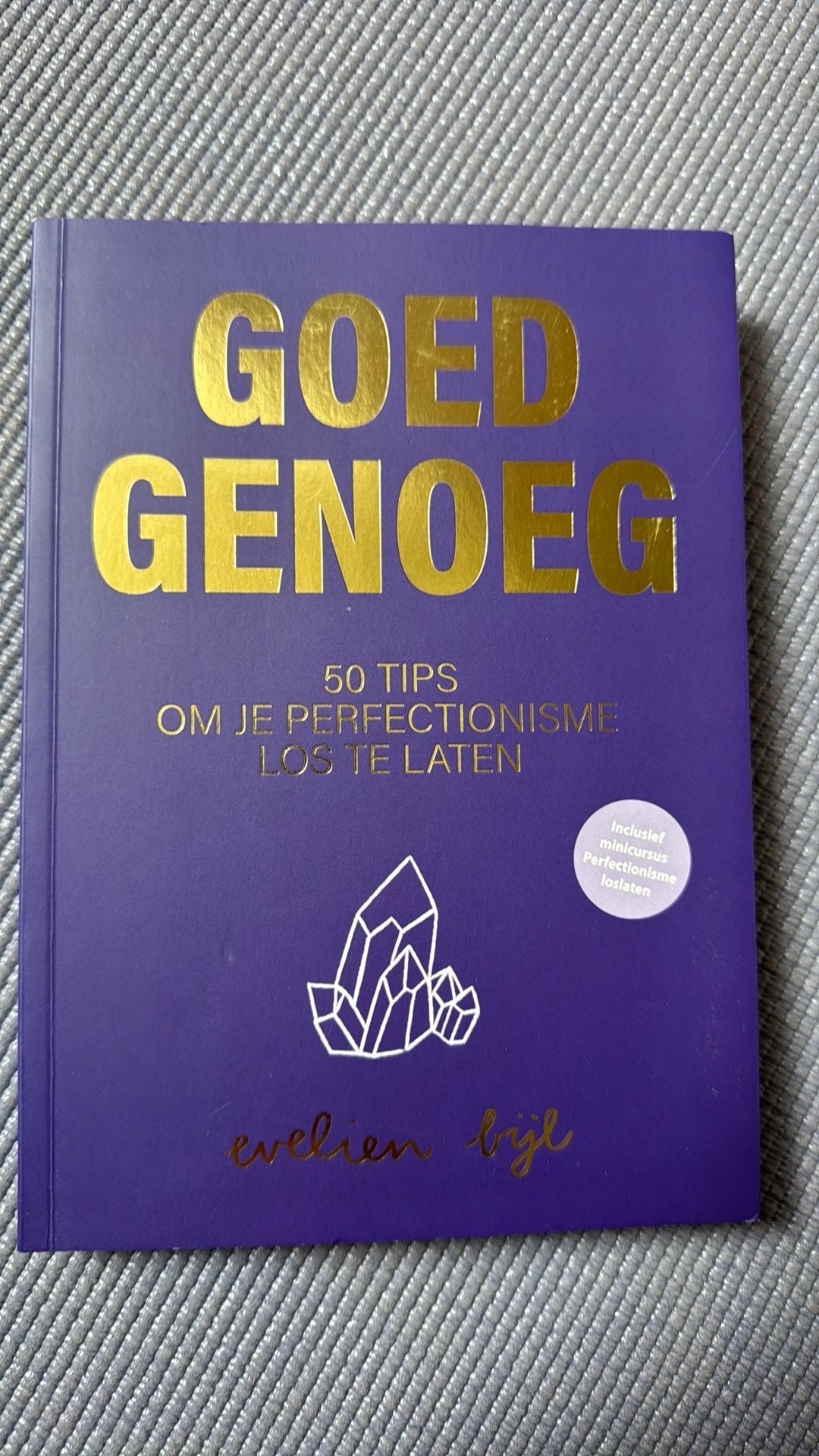 Goed Genoeg - Evelien Bijl, Ophalen of Verzenden, Zo goed als nieuw, Evelien Bijl