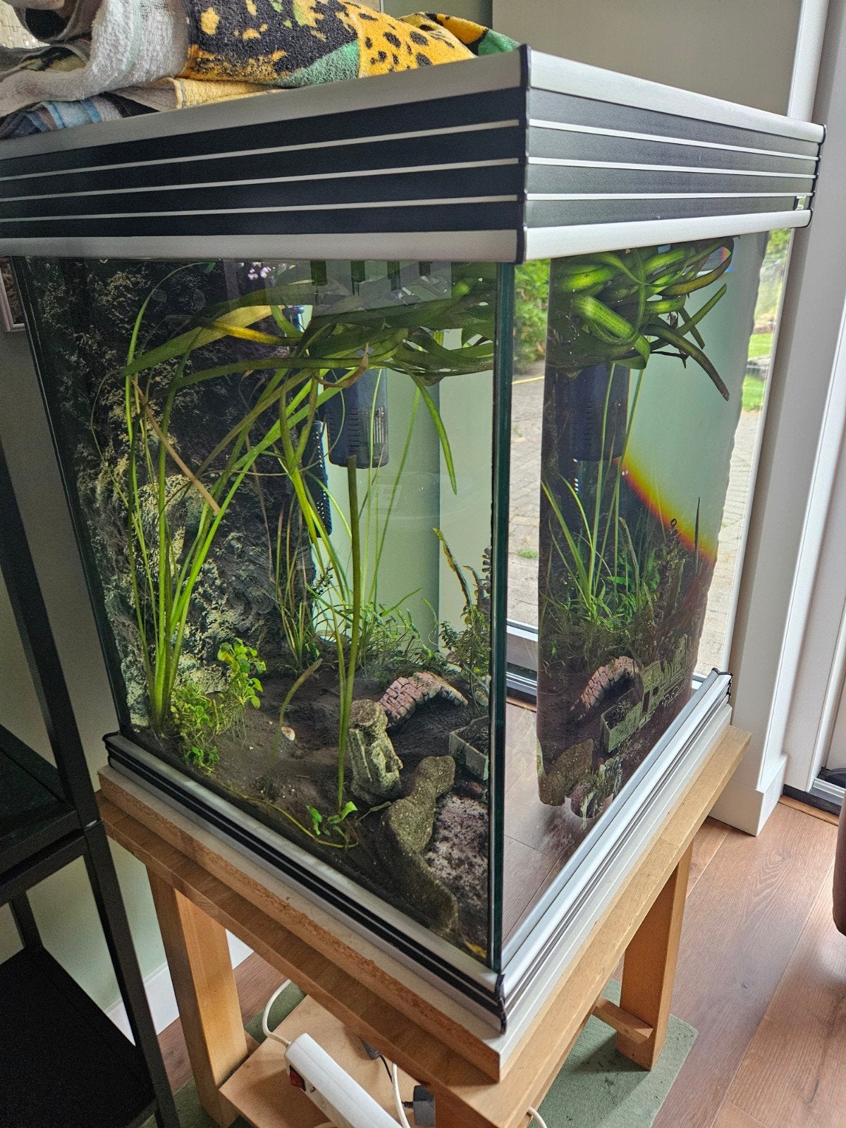 Aquarium 52x52x65, Dieren en Toebehoren, Vissen | Aquaria en Toebehoren, Ophalen, Inclusief toebehoren, Gebruikt, Leeg aquarium
