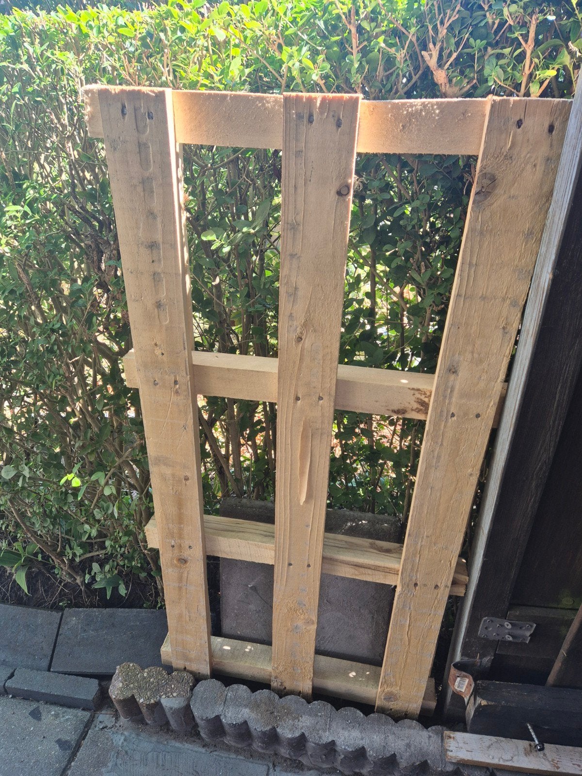gratis euro wegwerp pallet, Ophalen of Verzenden, 50 mm of meer, Minder dan 200 cm, Vuren
