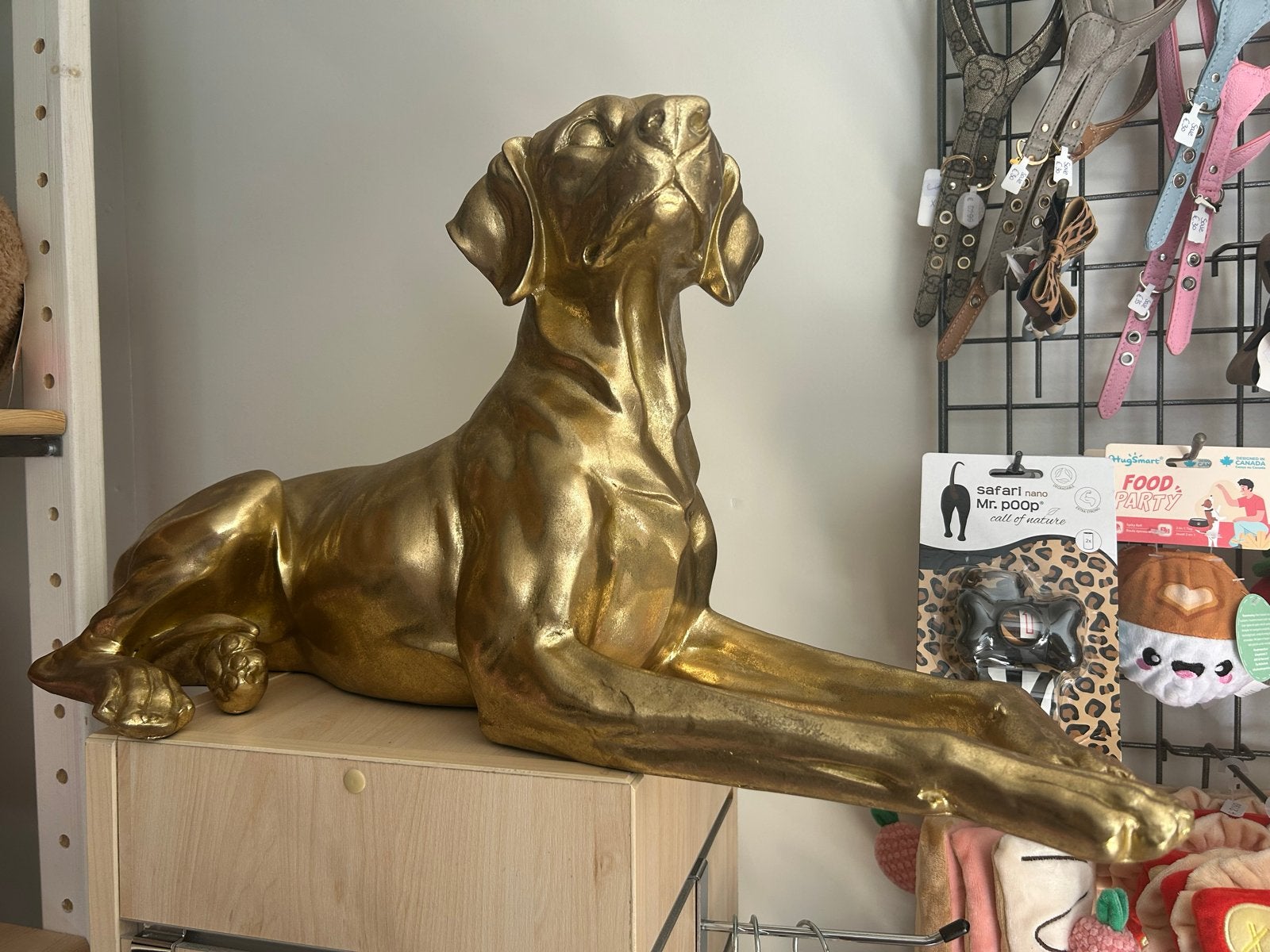 Gouden beeld van een liggende hond, Beeld, 50 - 100 cm, Ophalen of Verzenden, Gepatineerd