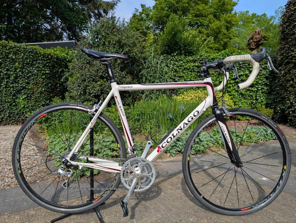 Colnago Primavera - Campagnolo Centaur afmontage, Overige merken, 28 inch, Gebruikt, Aluminium