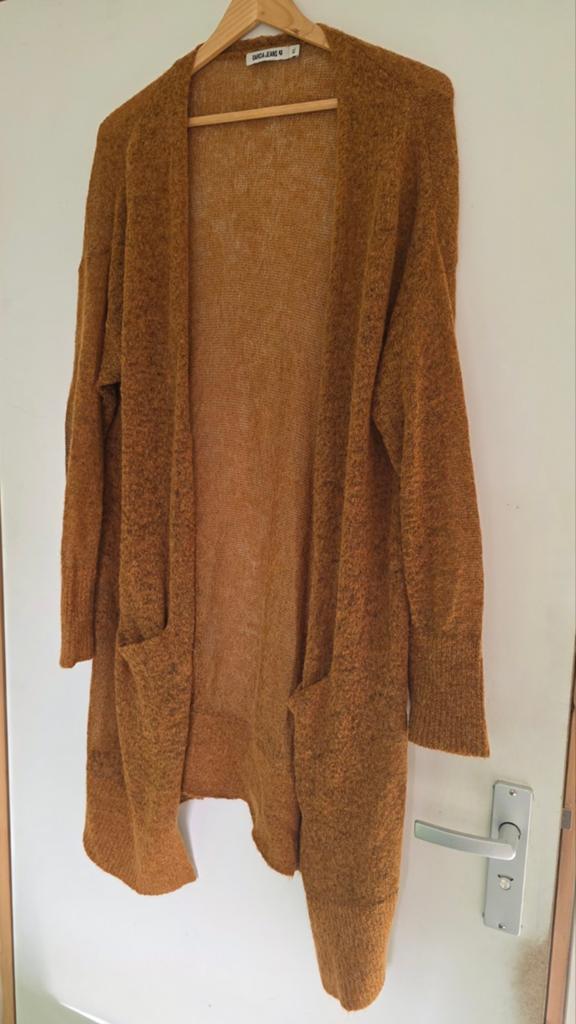 Vest zomervest dun gebreid in camelkleur alpacawol, Kleding | Dames, Ophalen of Verzenden, Zo goed als nieuw, Maat 38/40 (M)