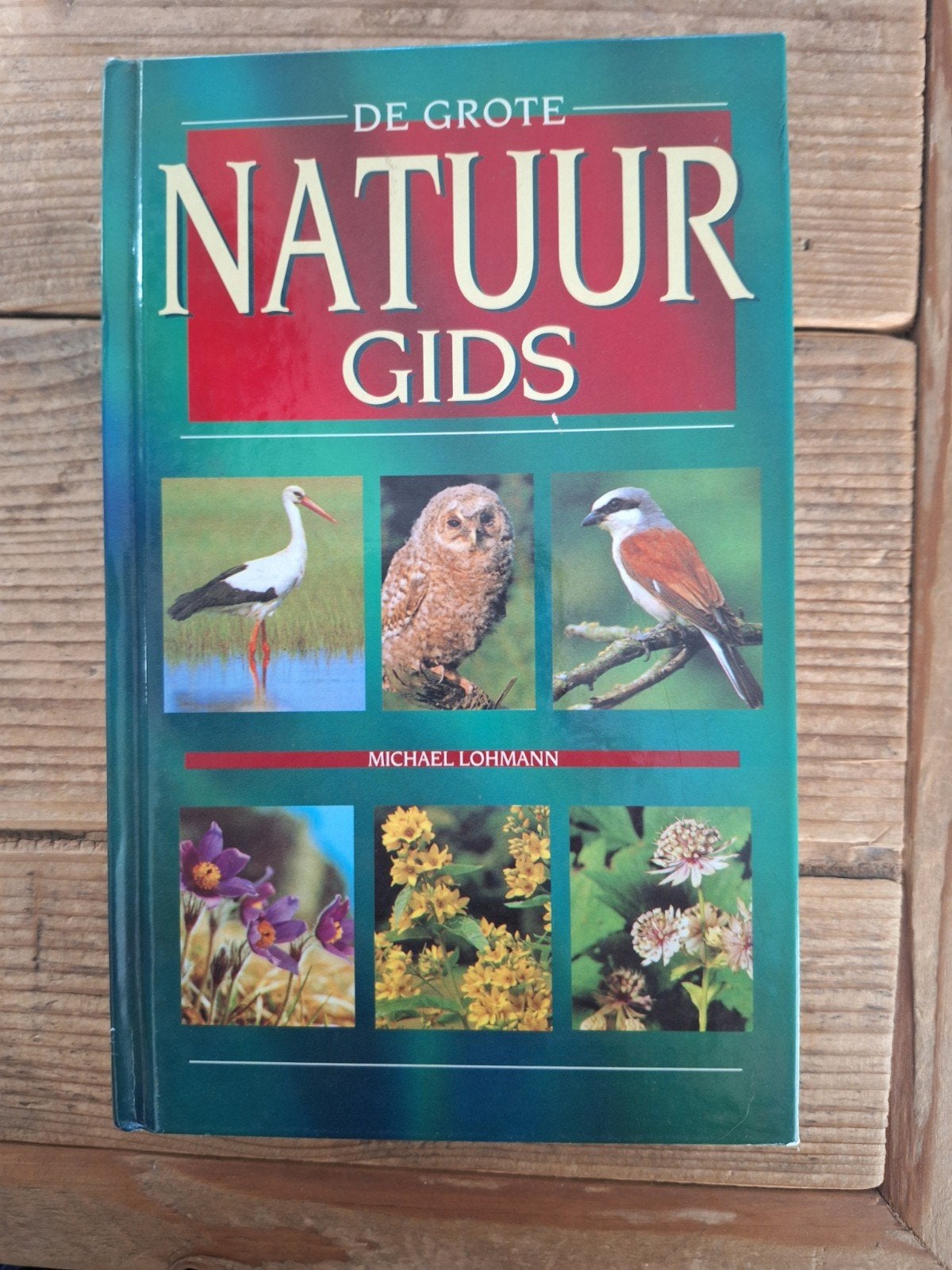 de grote natuurgids, Ophalen of Verzenden, Gelezen, Vogels