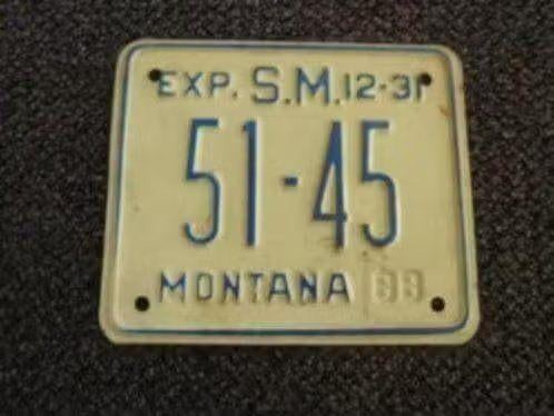 Motor licenseplate / motor kentekenplaat Montana USA, Verzamelen, Automerken, Motoren en Formule 1, Gebruikt, Auto's, Verzenden