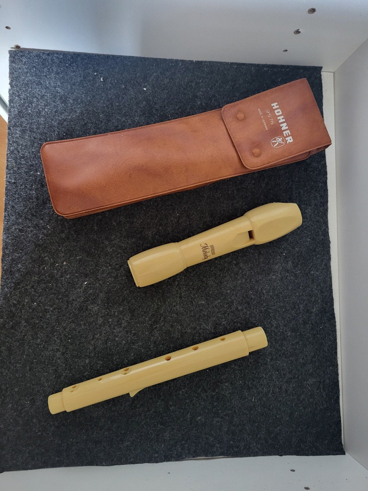Mooie Hohner Melodica (Melody) – Inclusief Originele Hoes!, Ophalen, Gebruikt