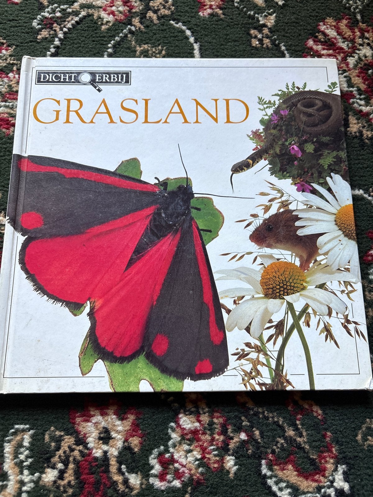 Dichtbij Grasland: De natuur door een vergrootglas, Boeken, Ophalen of Verzenden, Gelezen, Natuur algemeen