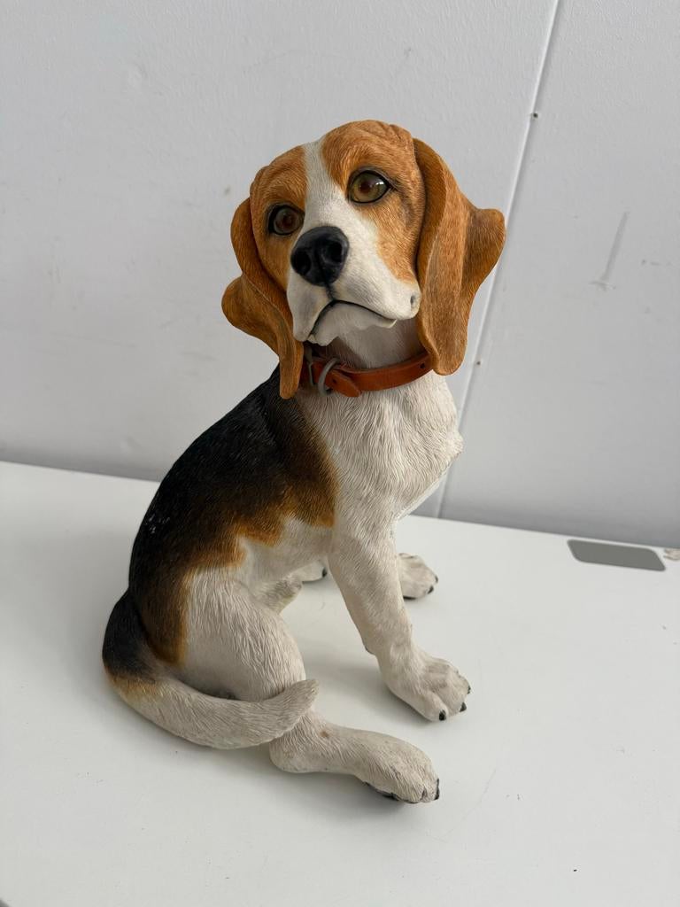 Beagle beeldje - Realistisch hondenbeeldje, Ophalen, Meerkleurig, ., Kunststof