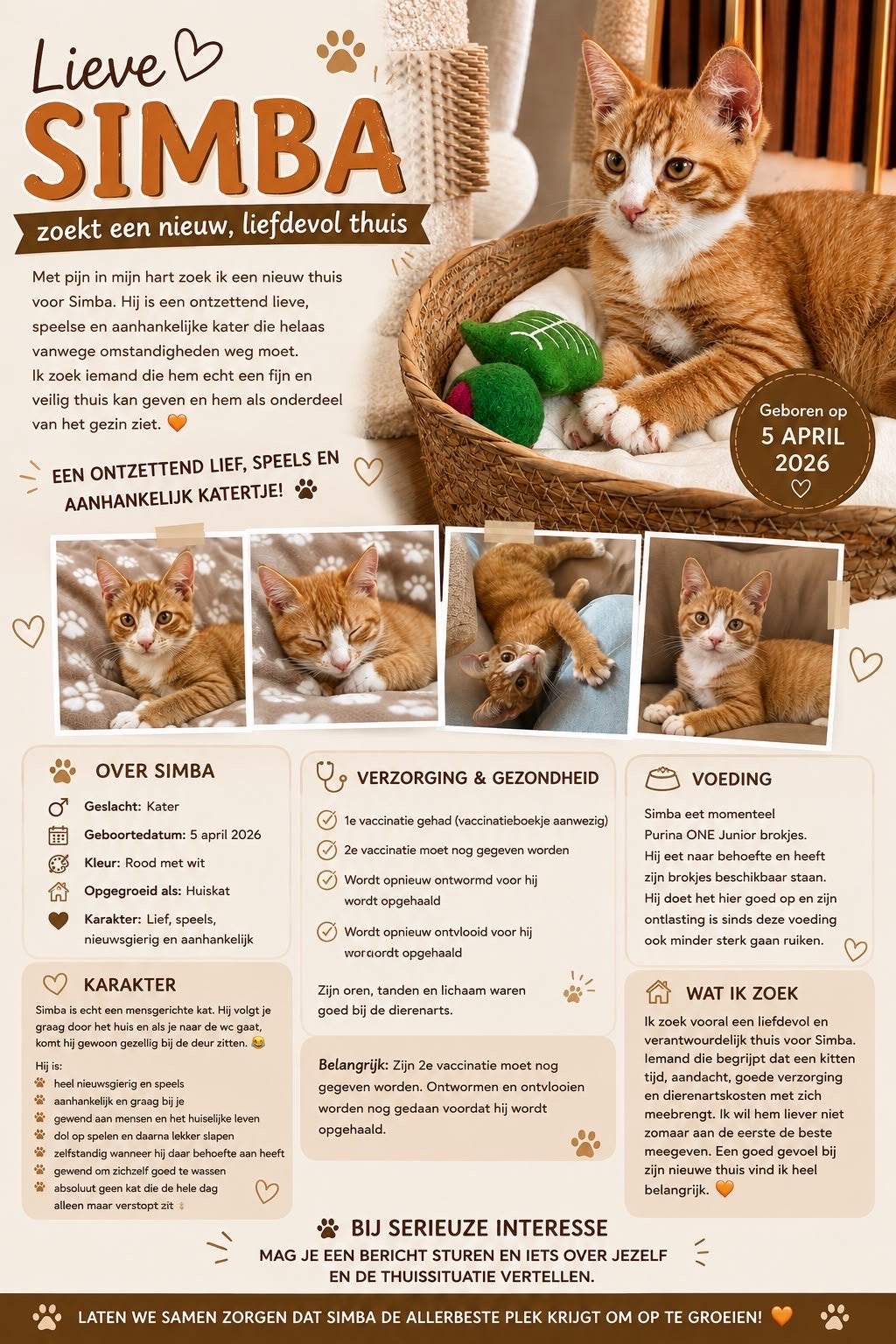Kat, Dieren en Toebehoren, Katten en Kittens | Overige Katten, Kater
