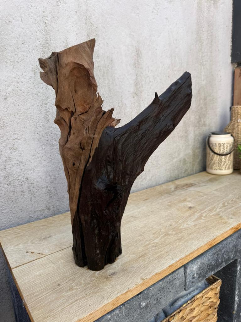 Kienhout 50cm, Dieren en Toebehoren, Ophalen of Verzenden, Zo goed als nieuw, Plant(en), Steen of Hout