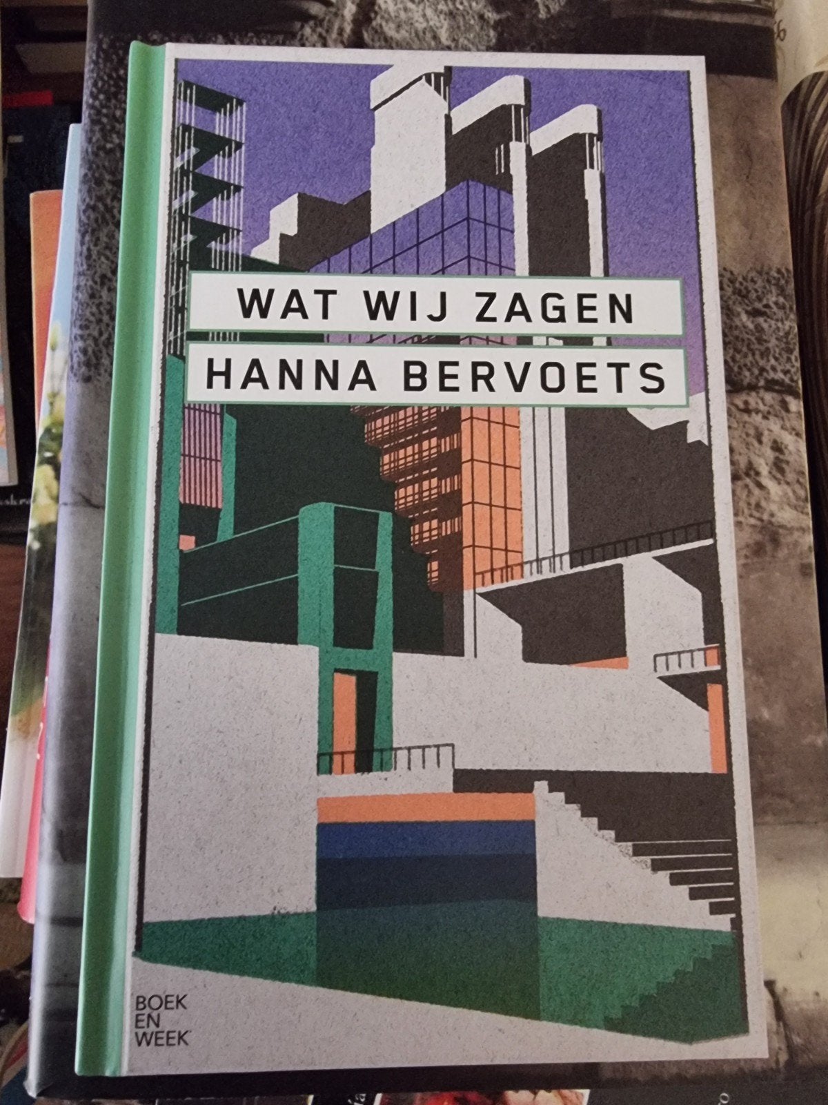Hanna Bervoets - Wat wij zagen, Boeken, Verzenden, Gelezen, Hanna Bervoets