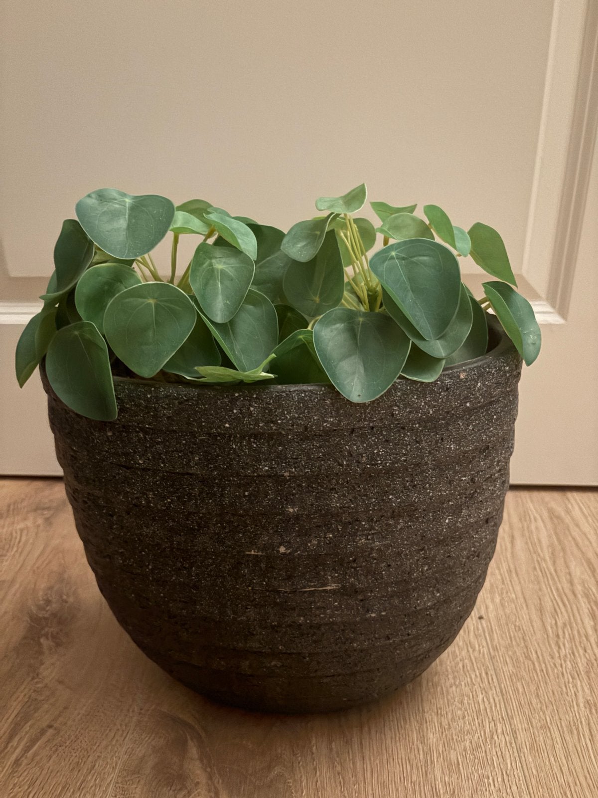 Potten 26 x 26 H met nep kunst pannenkoeken plantjes 2 x, Binnen, Groen, Kunstplant, Ophalen of Verzenden