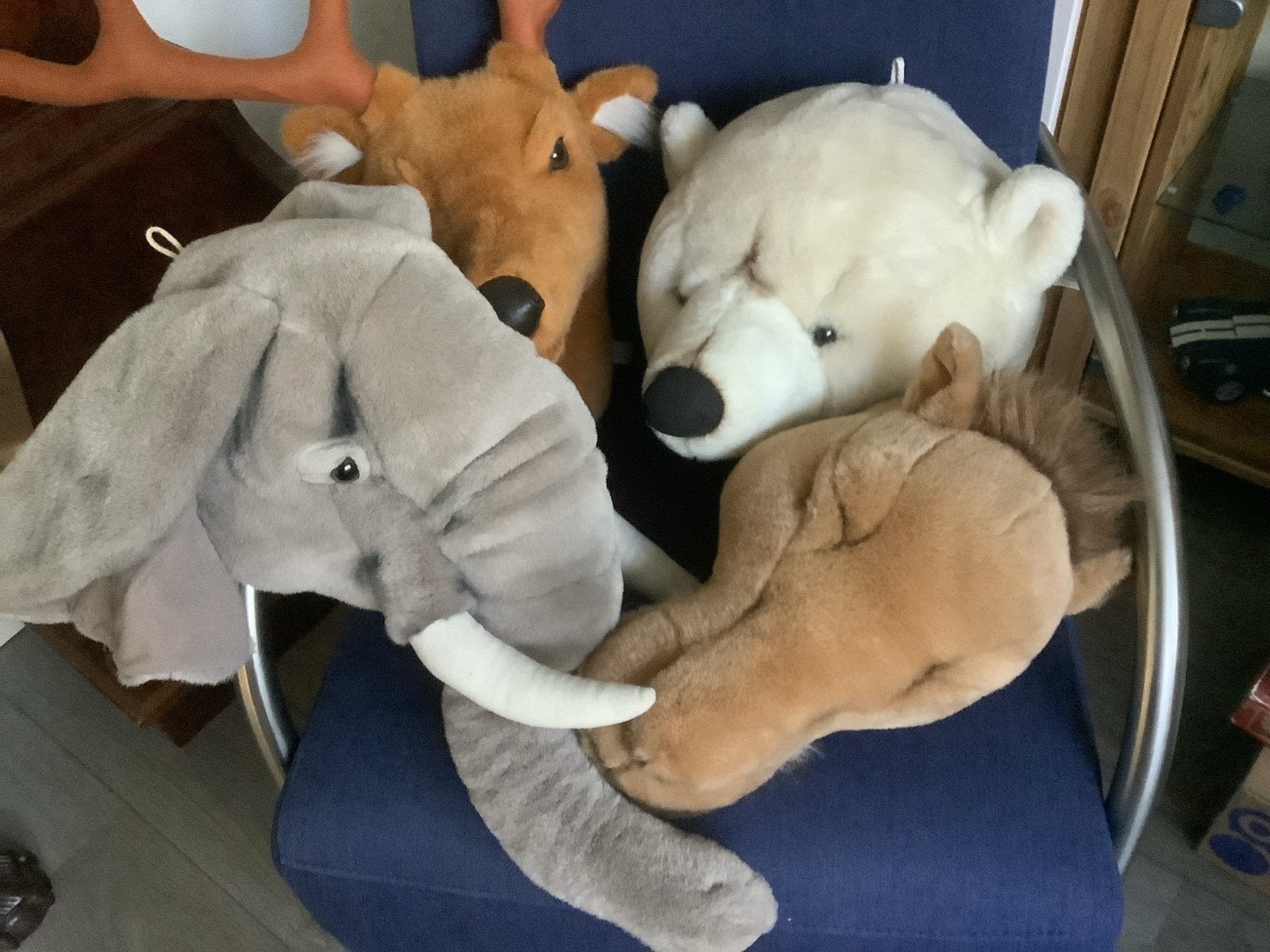 Bibib Dierenkoppen voor Kinderkamer - Kameel, IJsbeer, Olifa, Kinderen en Baby's, Speelgoed | Knuffels en Pluche, Overige merken