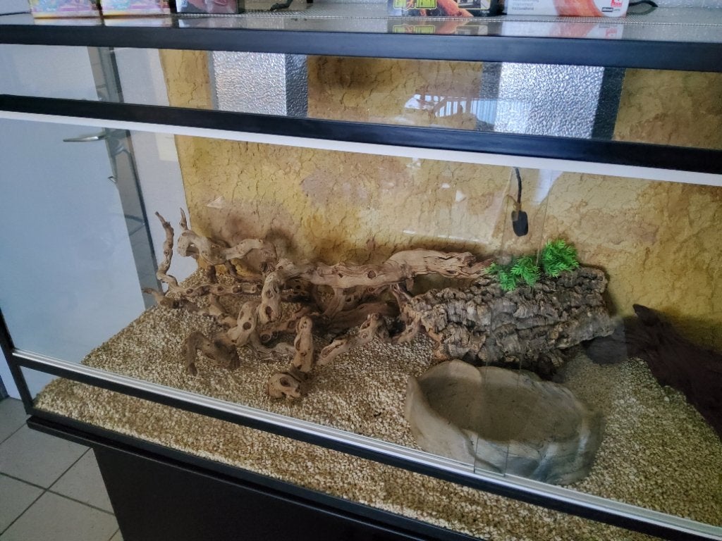 Terrarium, Dieren en Toebehoren, Ophalen, Zo goed als nieuw, Terrarium of Paludarium