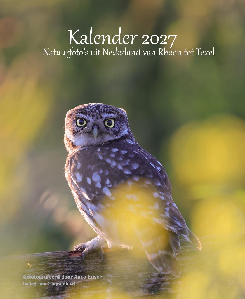 Prachtige Natuurkalender 2027 | 100% opbrengst Goede Doel, Ophalen of Verzenden, Maandkalender, Nieuw