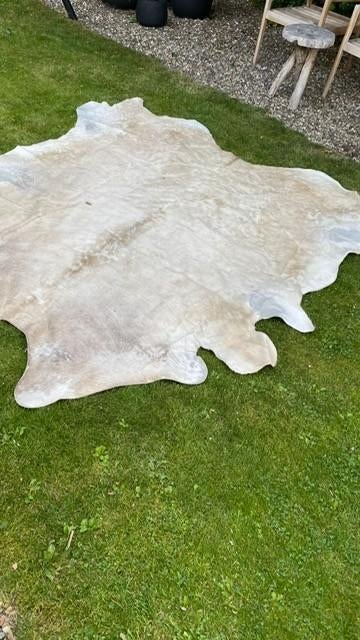 koeien kleed, Huis en Inrichting, Stoffering | Tapijten en Kleden, Ophalen, 200 cm of meer, Zo goed als nieuw, 200 cm of meer