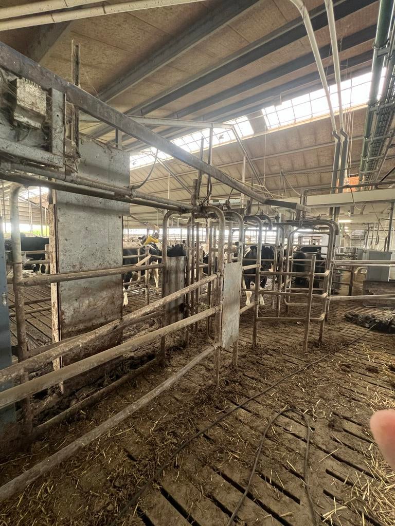 De Laval 4-weg selectiepoort voor veestallen, Zakelijke goederen, Agrarisch | Werktuigen, Ophalen, Veehouderij, Stalinrichting