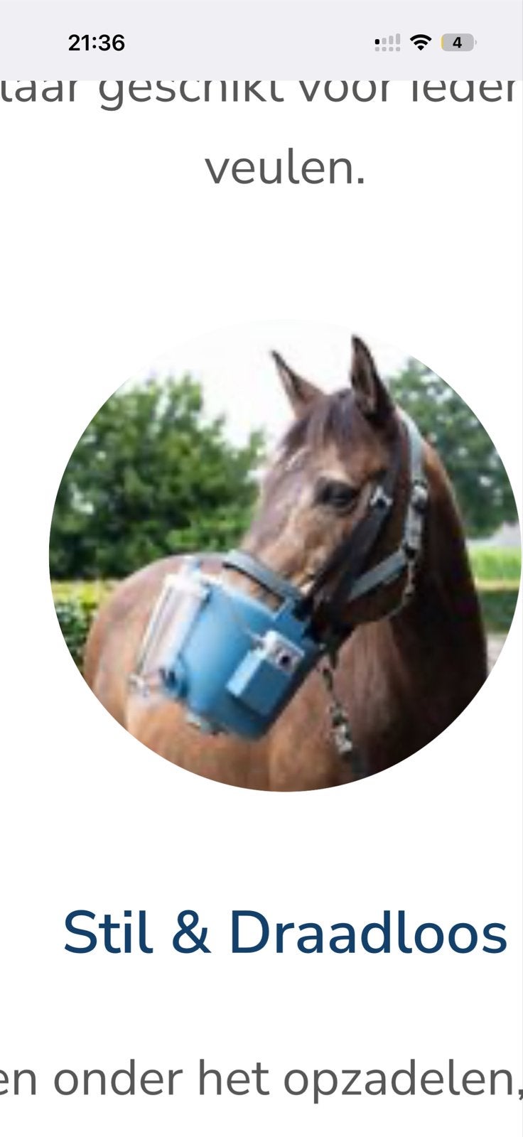 Vernevelaar voor paard gezocht, Ophalen