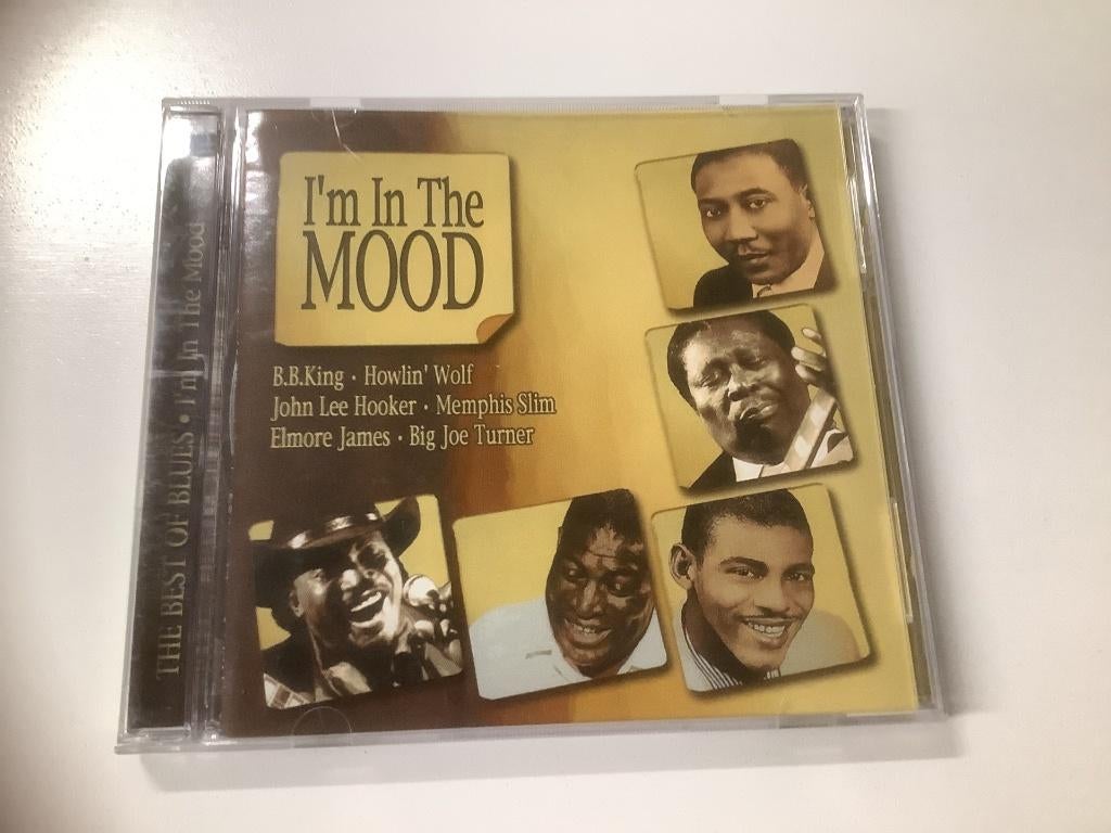 I'm in the MOOD, Cd's en Dvd's, Cd's | Jazz en Blues, Gebruikt, Blues, 1980 tot heden, Ophalen of Verzenden