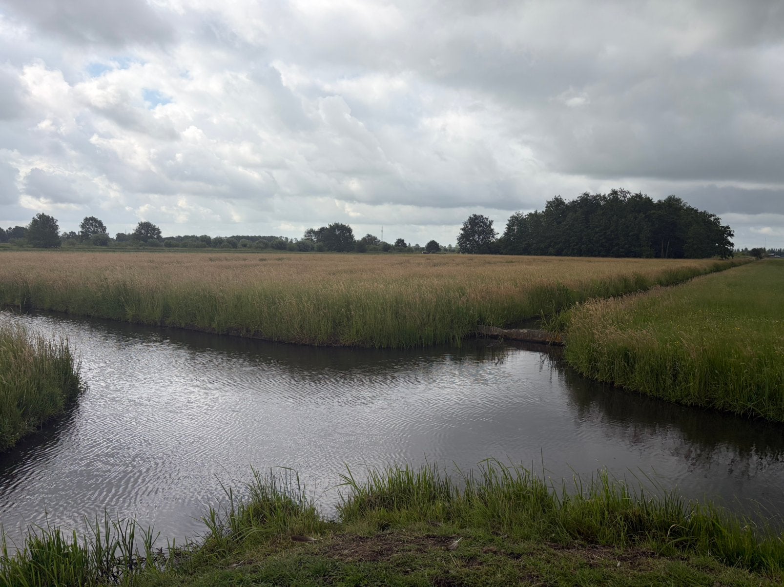 Hooi kleine balen / pakjes, Dieren en Toebehoren, Dierenvoeding, Ophalen, Vee