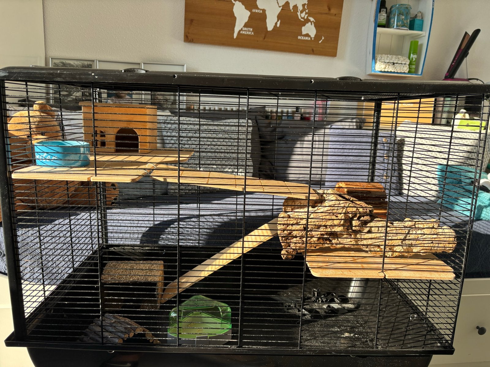 Hamsterkooi/ knaagdierenkooi met veel accessoires, Minder dan 60 cm, Kooi, Gebruikt, Minder dan 75 cm