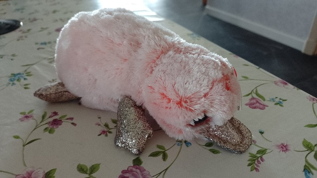 ty knuffels, Ophalen of Verzenden, Zo goed als nieuw, Overige typen, Ty