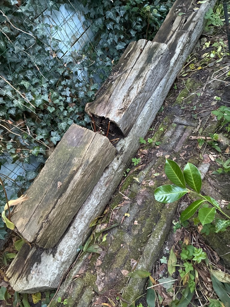 Bielzen, Tuin en Terras, Ophalen, Gebruikt, 100 tot 200 cm, Biels