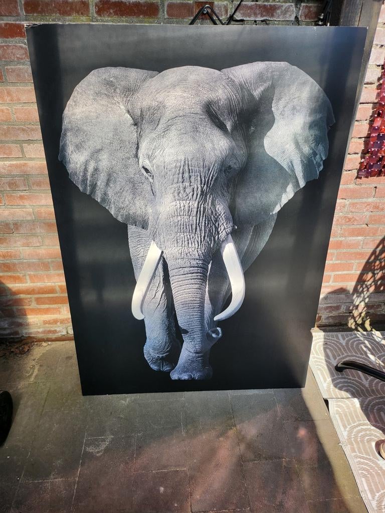 Groot olifant schilderij - wanddecoratie, Ophalen, Gebruikt, 75 tot 100 cm, Schilderij