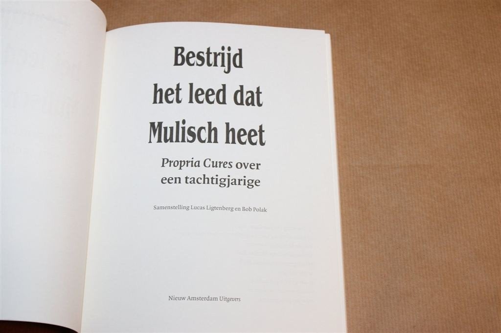 Bestrijd het Leed dat Mulisch Heet — 55 Jaar Studentenkopij, Ophalen of Verzenden, Zo goed als nieuw