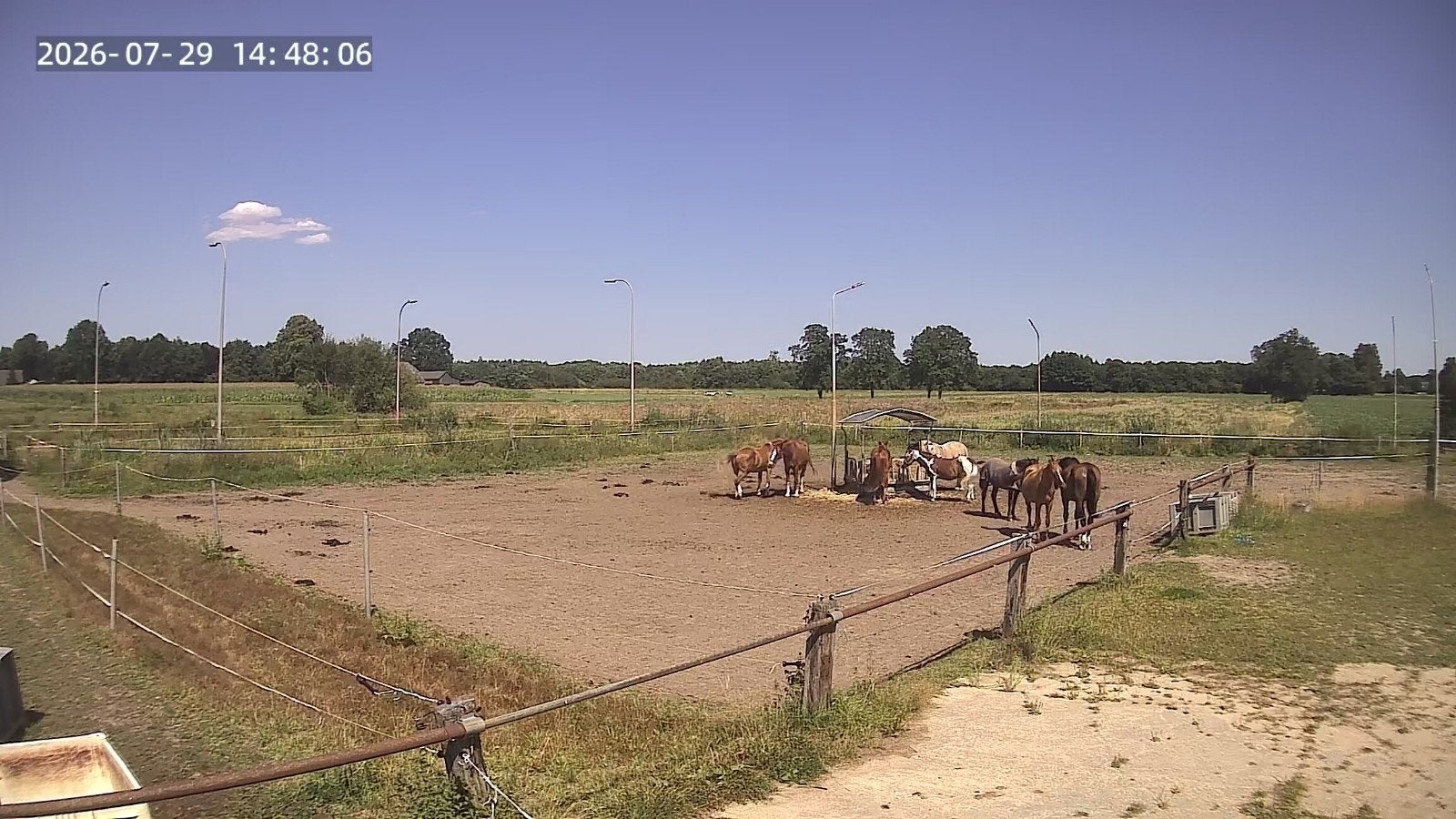 stal te huur voor je paard vaassen