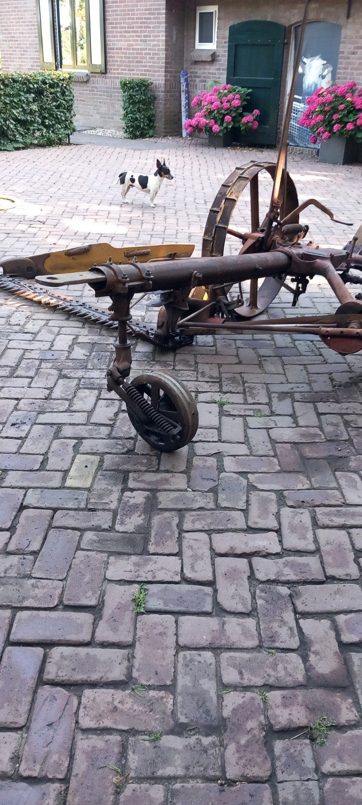 Antieke paard getrokken maaibalk IH 8B, Ophalen