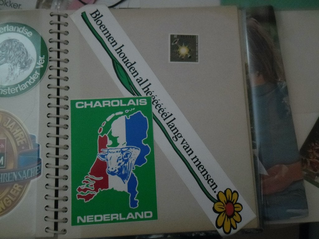 Vintage Sticker, Ophalen of Verzenden, Gebruikt, Overige typen