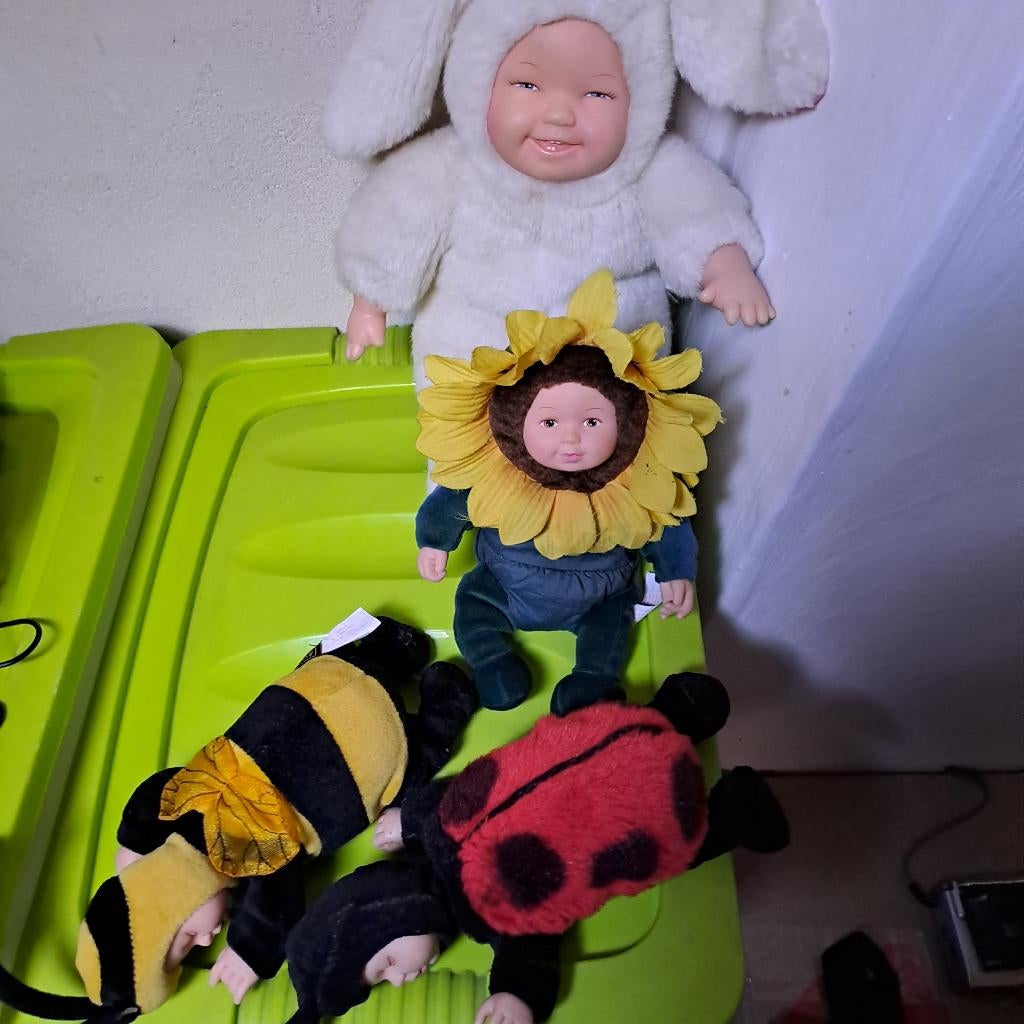 Anne geddes, Ophalen of Verzenden, Gebruikt, Pop