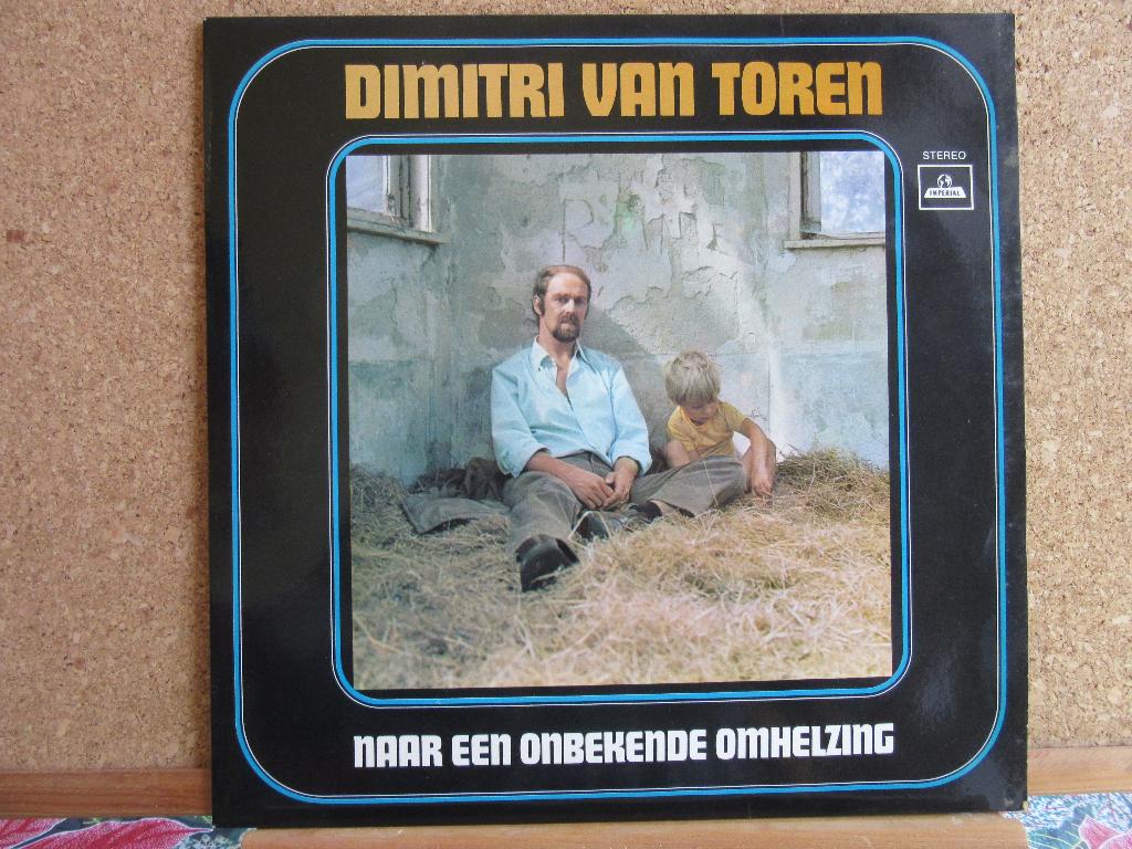 Dimitri van Toren  -  Naar Een Onbekende Omhelzing, Cd's en Dvd's, Ophalen of Verzenden, Zo goed als nieuw, 12 inch, Pop