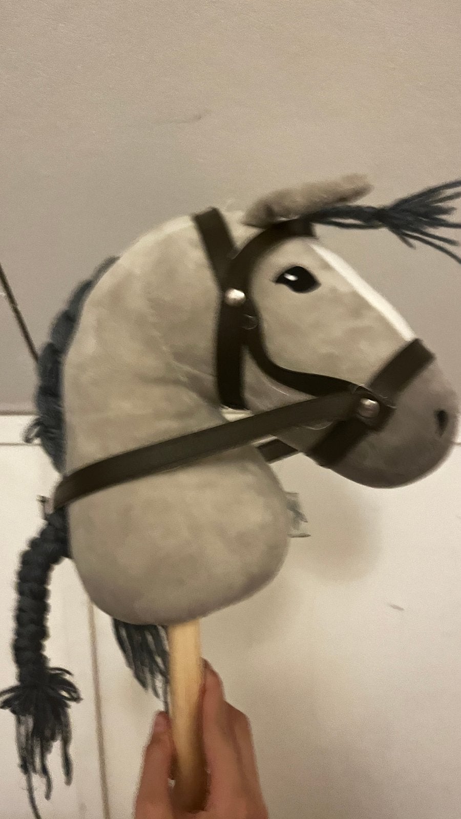 Stokpaard met hoofdstel, Ophalen, Jongen of Meisje
