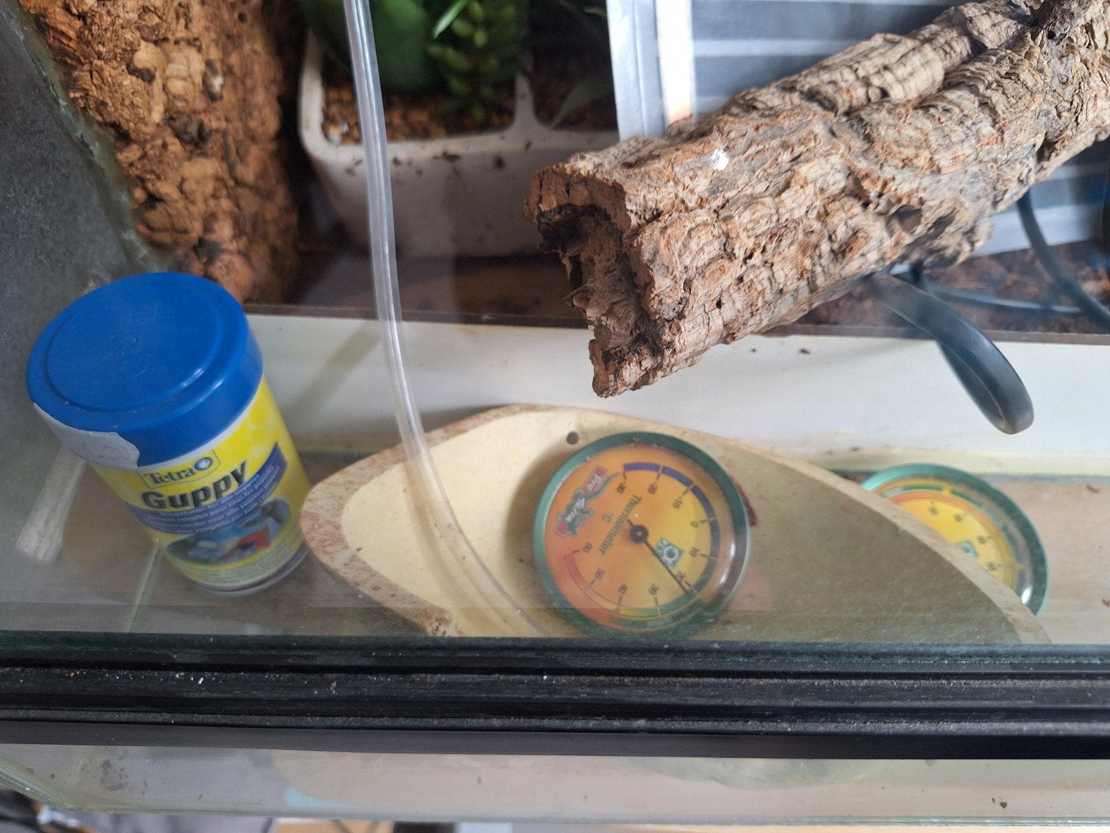 Terrarium, Ophalen, Gebruikt, Onbekend, Onbekend