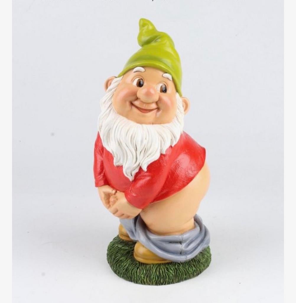 GEZOCHT! Tuinkabouter voor een hilarische verjaardagsprank, Tuin en Terras, Tuinbeelden, Ophalen of Verzenden, Tuinkabouter