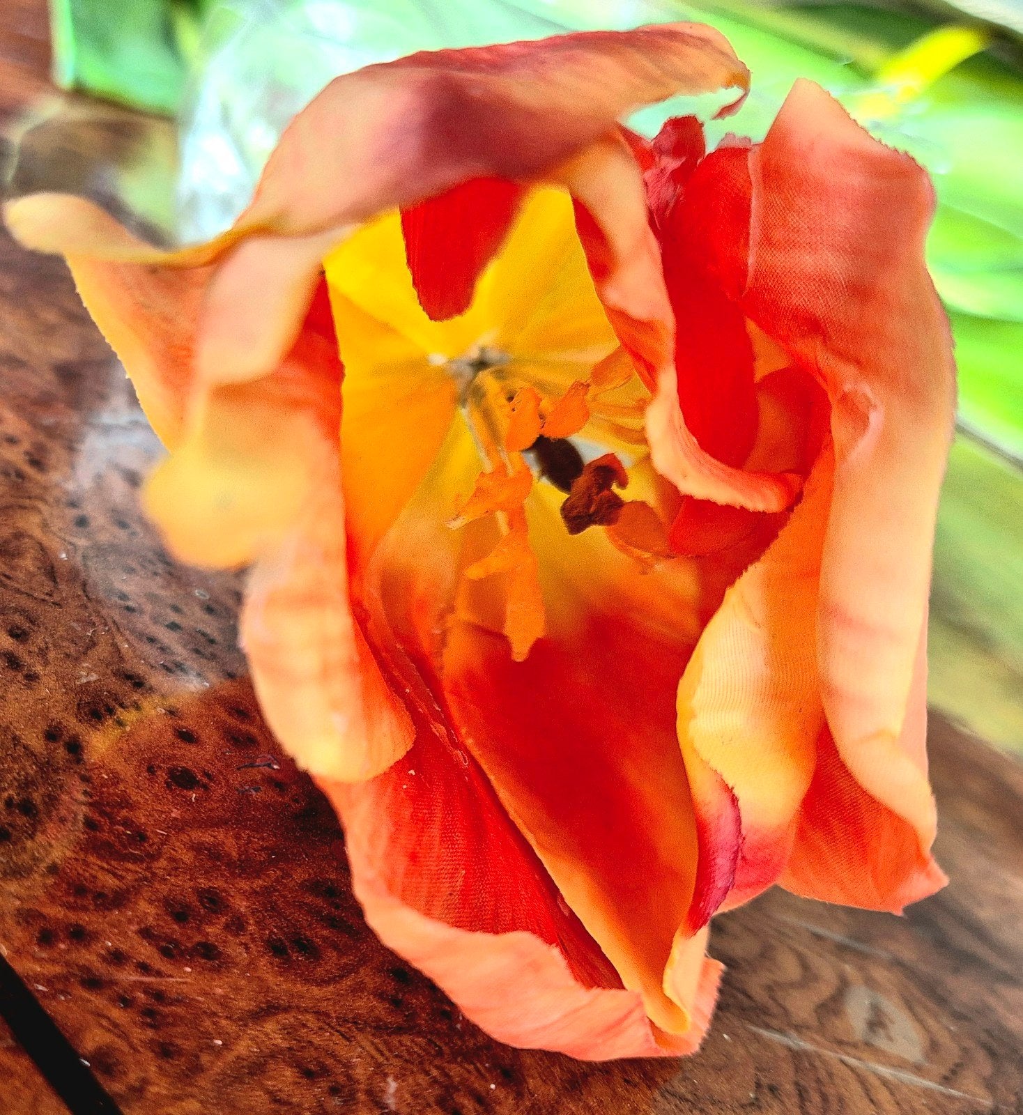 Real Touch Kunsttulp - Voelt en oogt als echt!, Huis en Inrichting, Woonaccessoires | Kunstplanten en Kunstbloemen, Binnen, Kunstbloem
