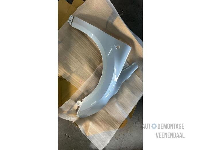 Scherm rechts-voor van een Ford Transit Connect (MOONDUST), Auto-onderdelen, -, -, Nieuw, Ophalen of Verzenden