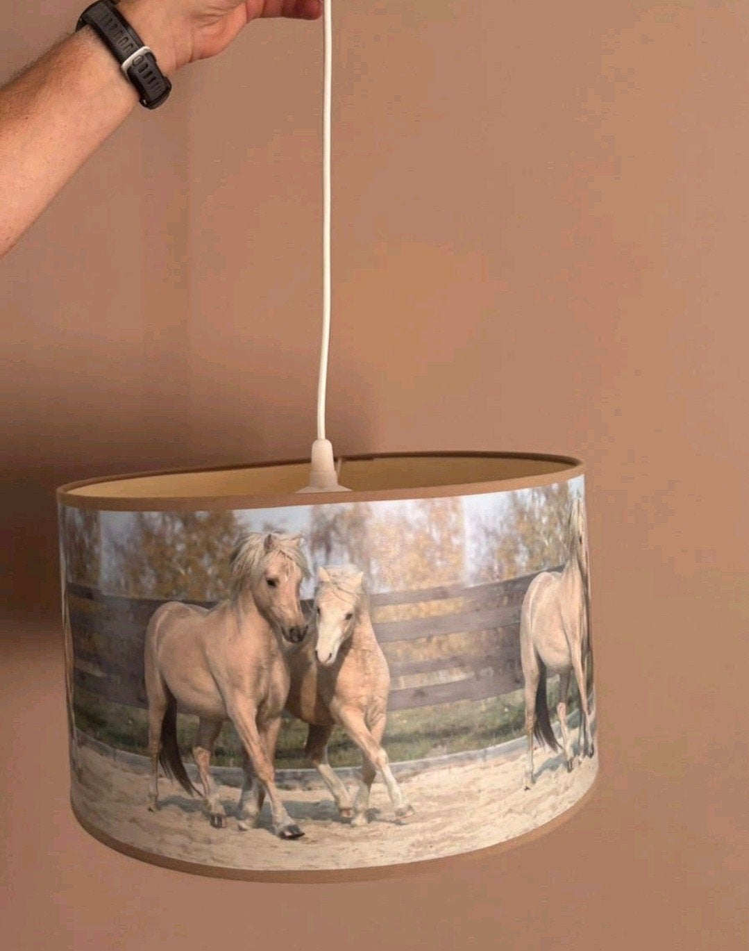 mooie paarden hanglamp, Ophalen of Verzenden, Gebruikt
