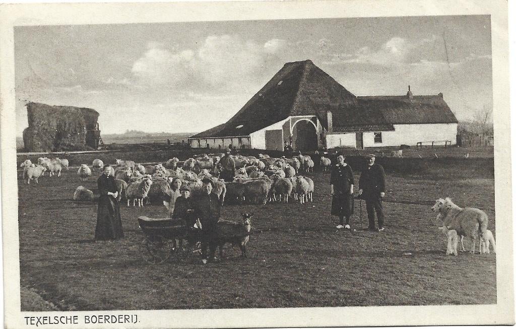 Texel;  Texelsche Boerderij, Verzenden, 1920 tot 1940, Gelopen, Waddeneilanden