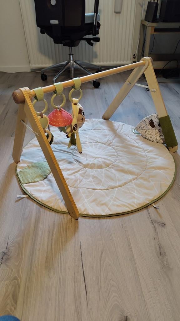 Tiny Love Babygym Speelkleed, Ophalen, Gebruikt, Babygym