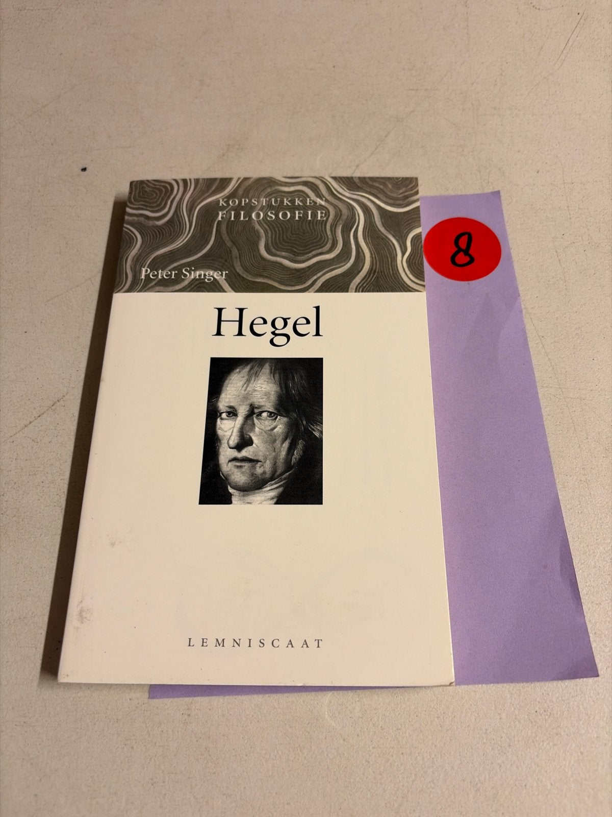 Hegel - Peter Singer (Kopstukken Filosofie), Boeken, Ophalen of Verzenden, Gelezen, Wijsbegeerte of Ethiek