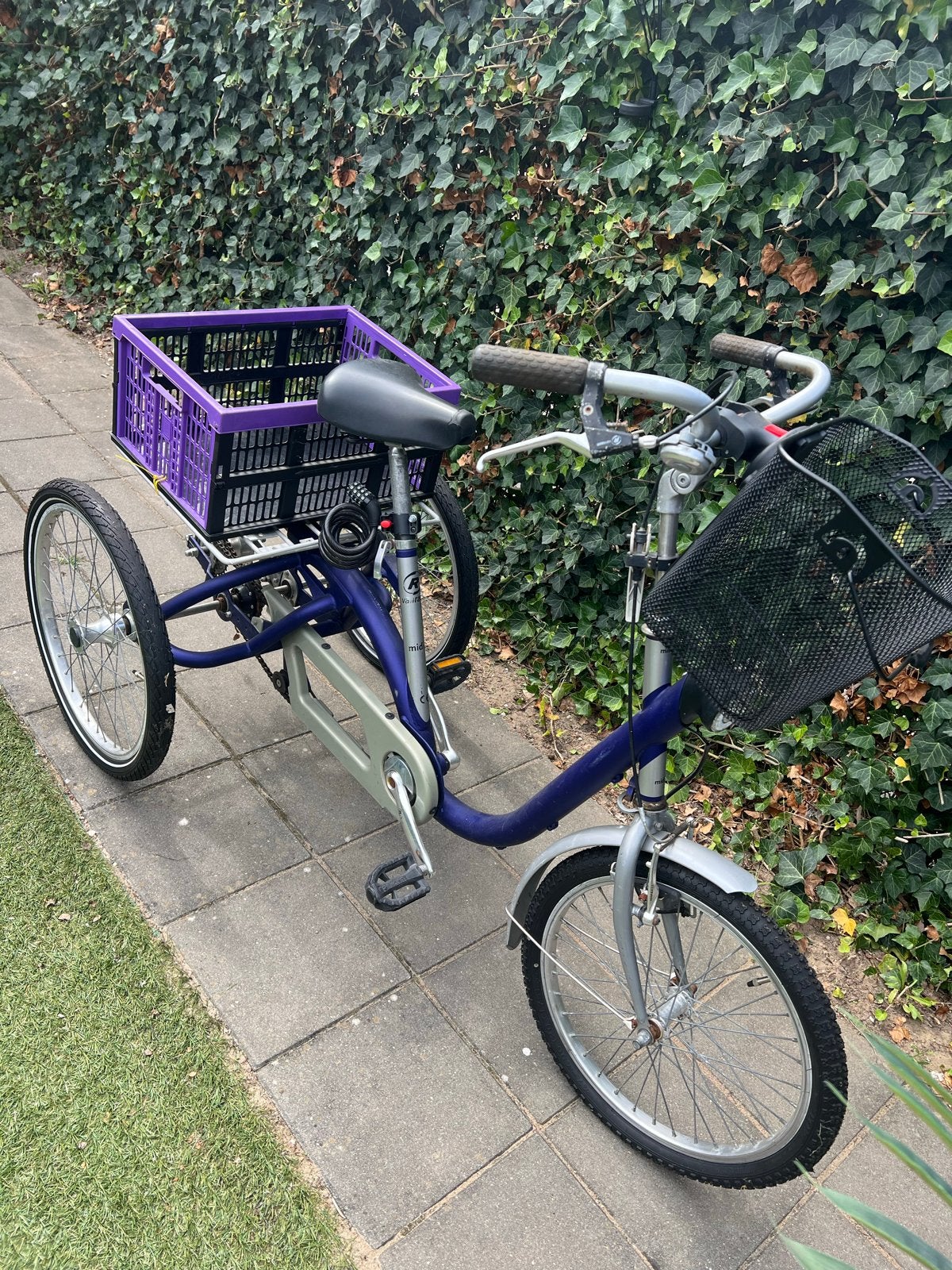 Comfortabele driewieler (Van Raam) met manden, Ophalen, Gebruikt, Velgrem