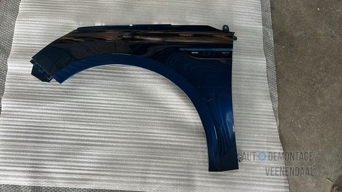 Scherm links-voor van een Renault Megane (TERPR), -, Renault, -, Nieuw